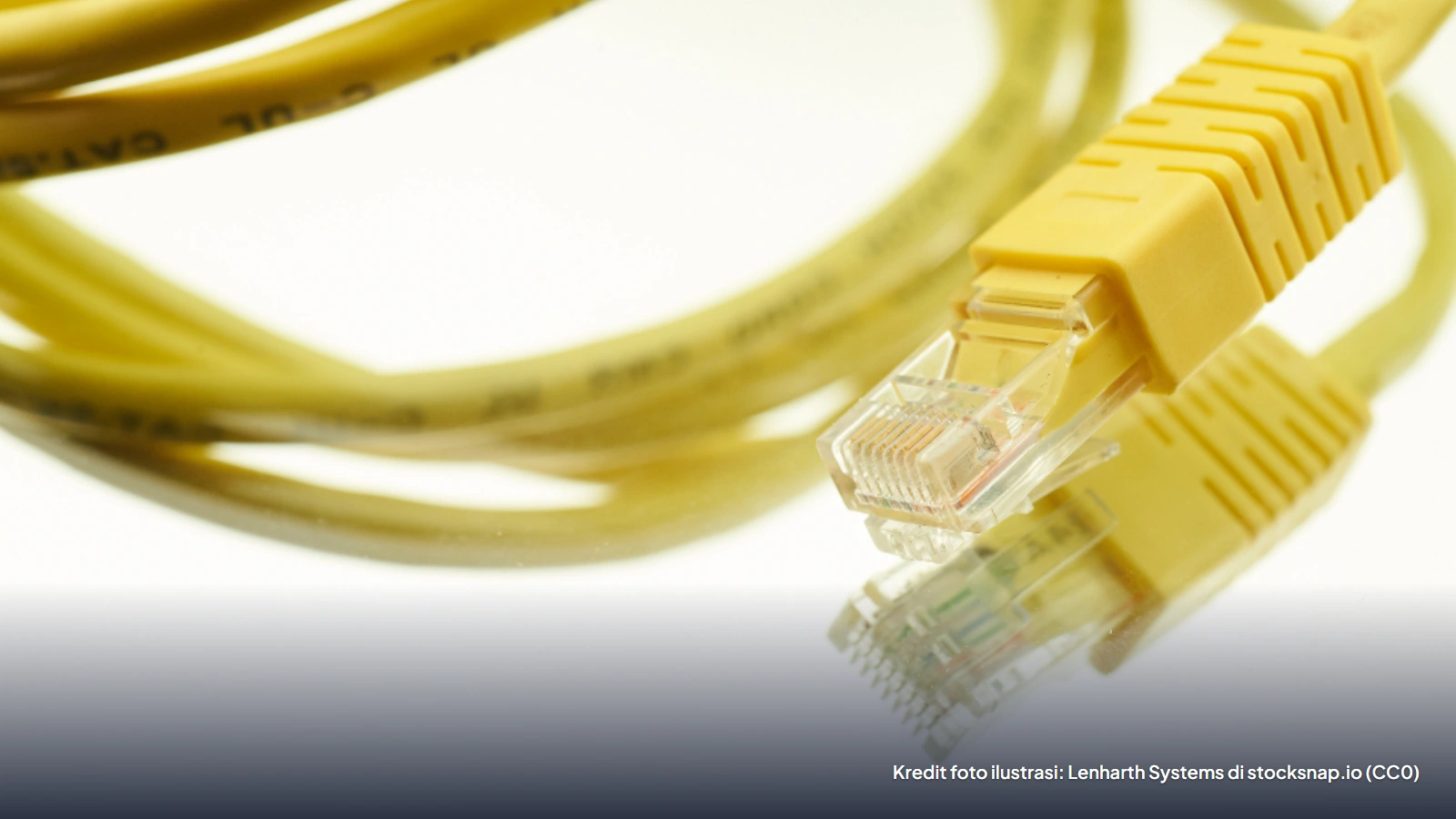 Kabel jaringan kuning berujung konektor RJ45 di latar putih